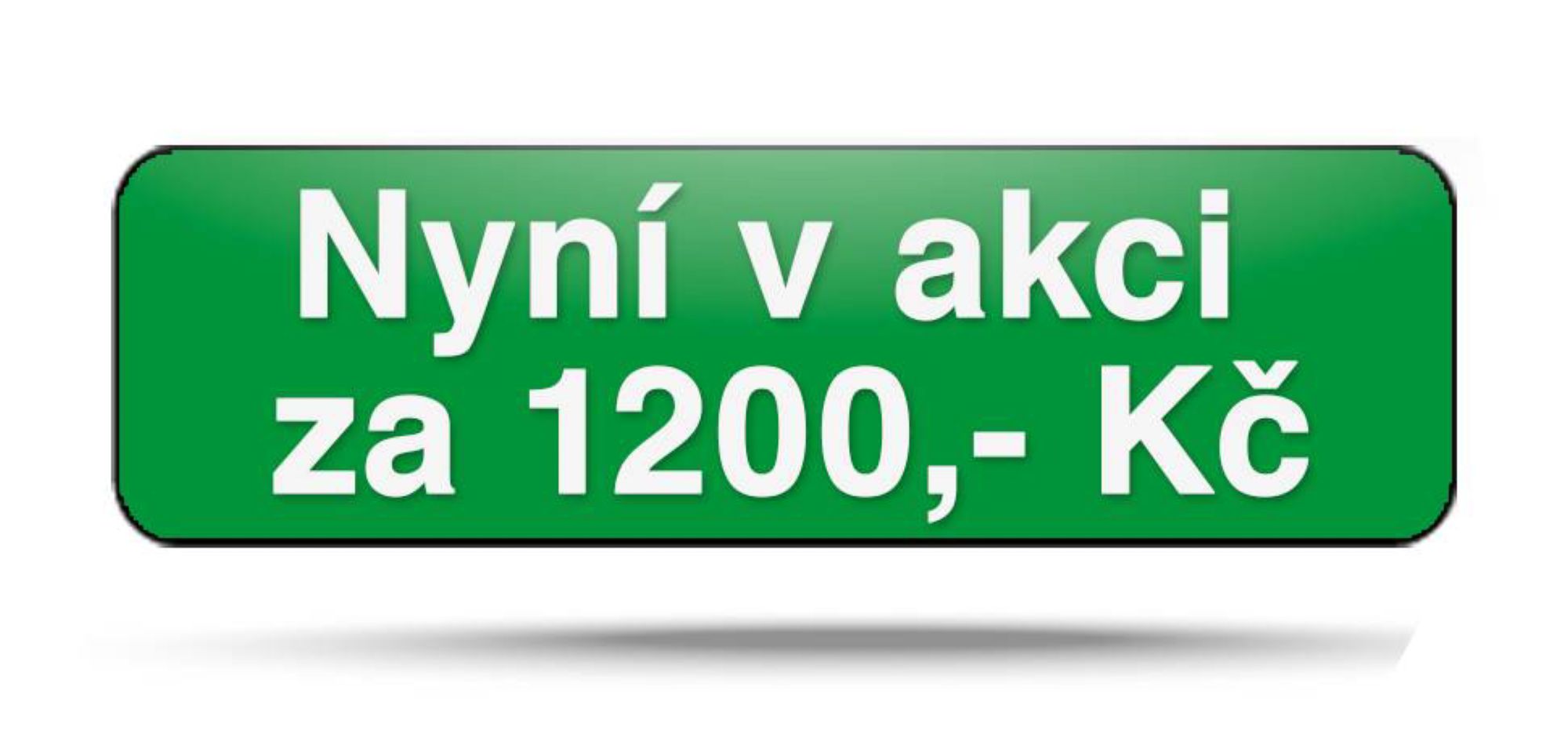 Button-letni-servisni-akce.png
