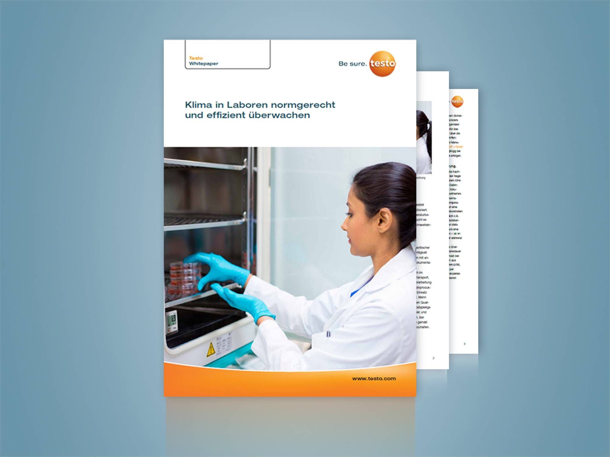 testo_whitepaper_labore_normen_2000x1500px.jpg