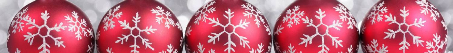 banner_promo_natale_324.jpg